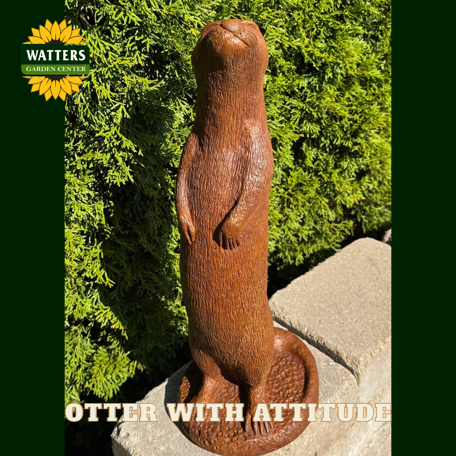 Brown otter standing on its back legs in a garden setting with the Watters logo.