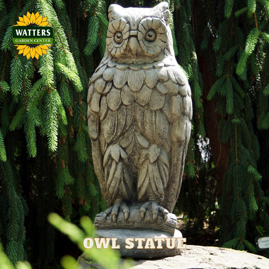 Owl Statue in garden with Watters logo.