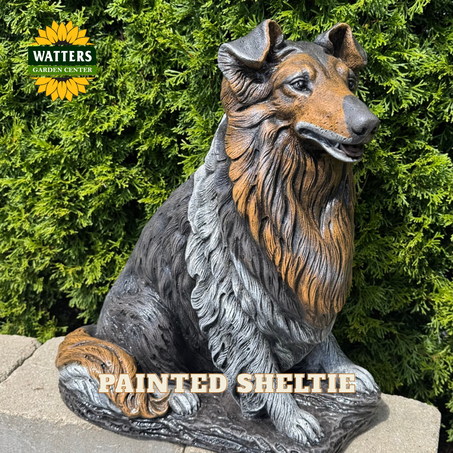 A painted Sheltie dog garden statue in a sitting position, displayed outdoors on a stone surface with a green hedge background. The statue features a gray and black body with warm brown and tan markings on the face, neck, and paws.