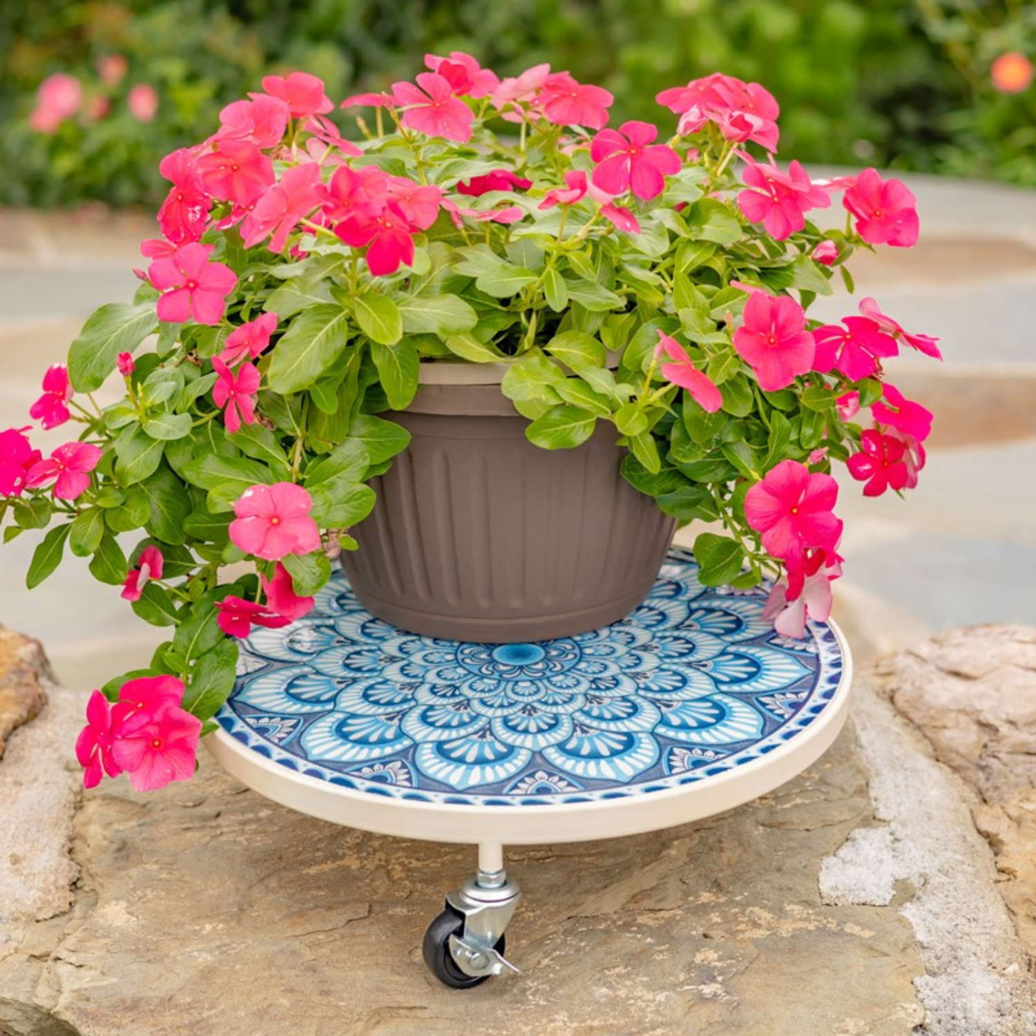 A potted pink flower arrangement in a brown planter sits on a round white and blue patterned rolling table with caster wheels, placed outdoors on a stone surface with blurred greenery in the background.