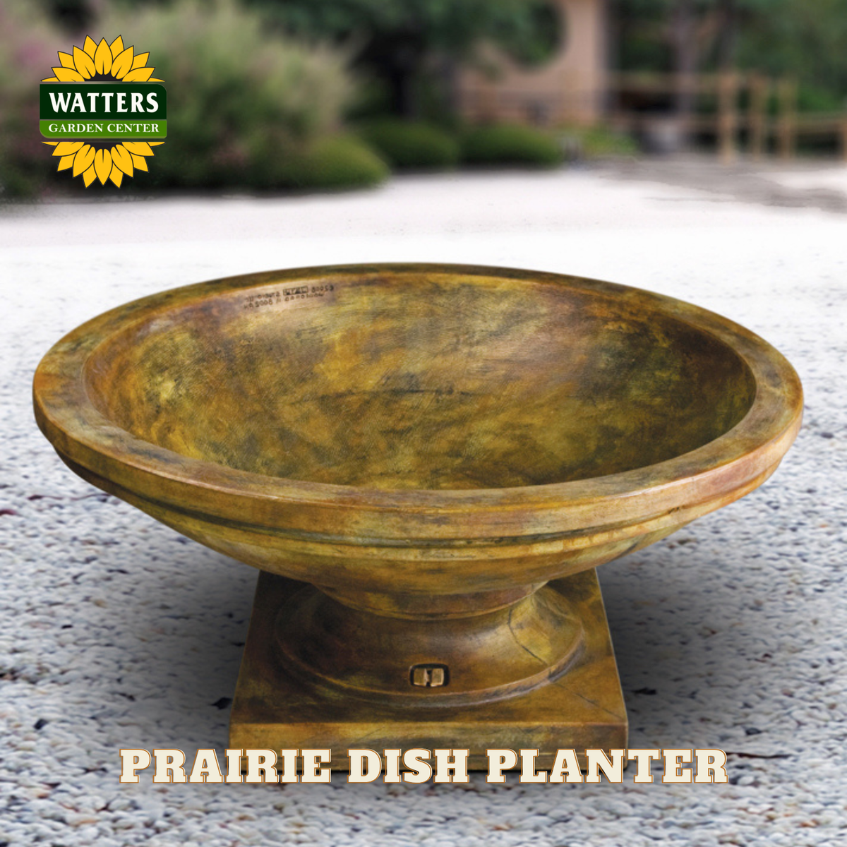 Prairie dish planter in garden setting.