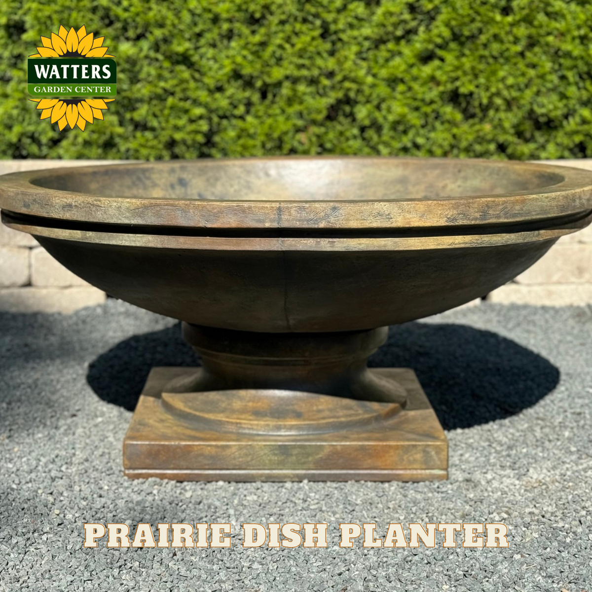 Prairie dish planter in garden setting.