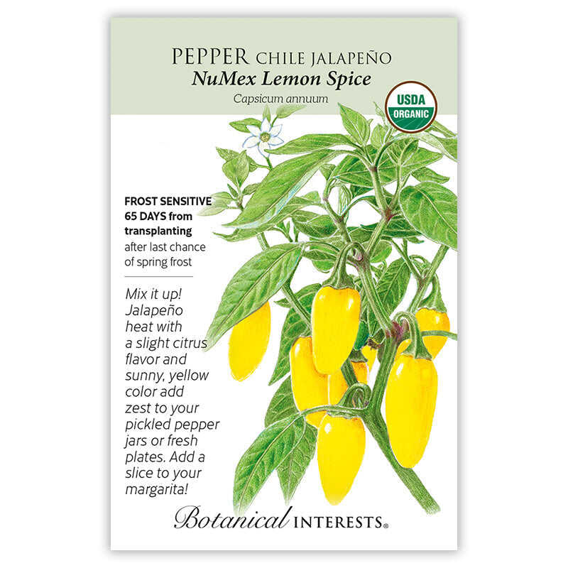 SEEDS 449