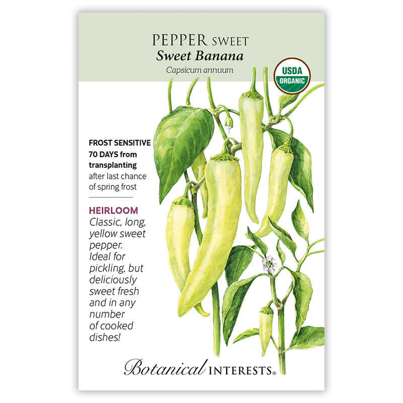 SEEDS 299