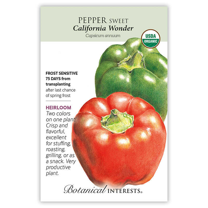 SEEDS 299