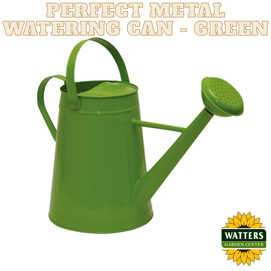 Perfect Metal Watering Can - Green 1.2 gal