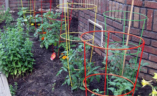 TOMATO CAGE 33in