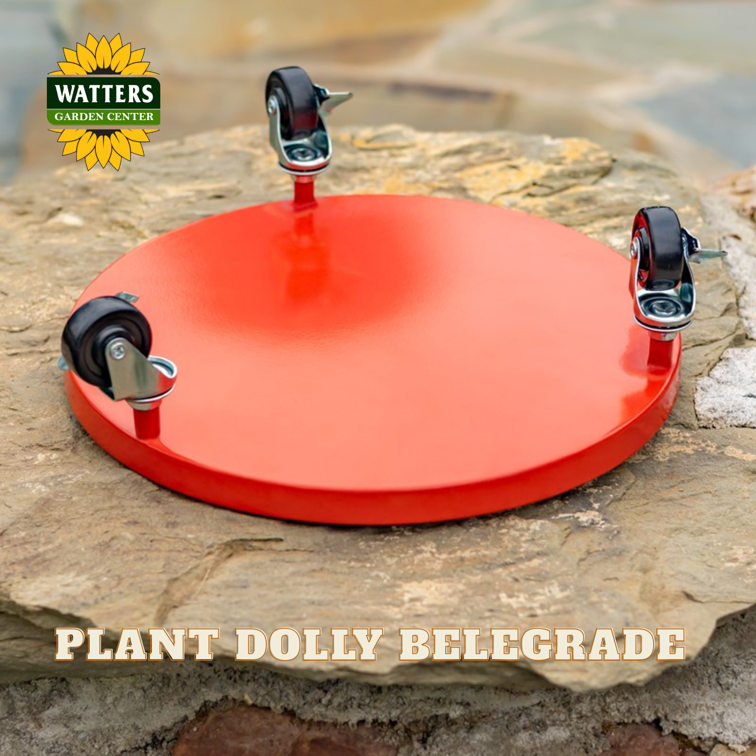 A red circular plant dolly with three black caster wheels, shown resting on a stone surface. The Watters Gardens Center logo is in the top-left corner, and the text 'PLANT DOLLY BELEGRADE' is at the bottom.