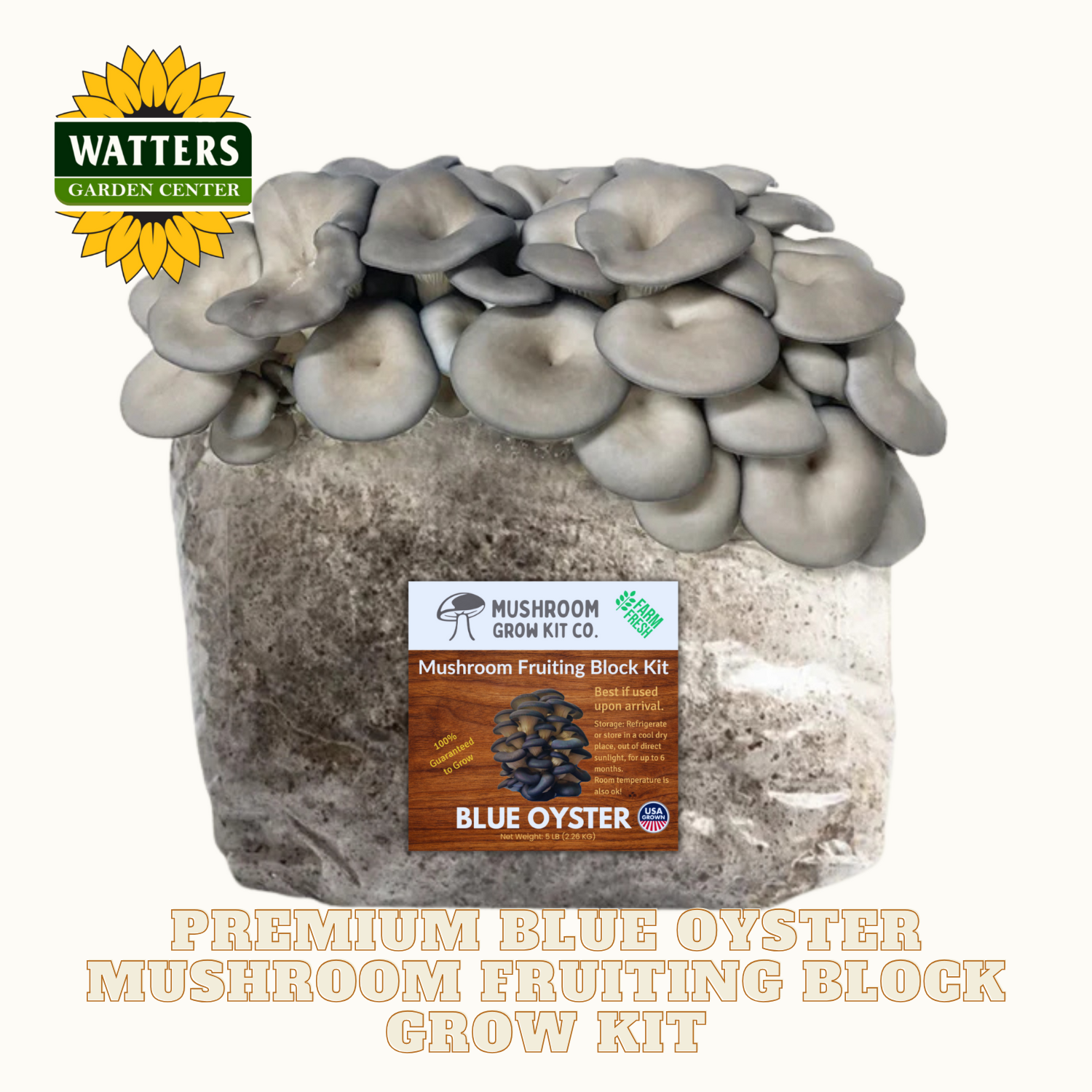 Mushroom grow kit with labeled brand on a white background