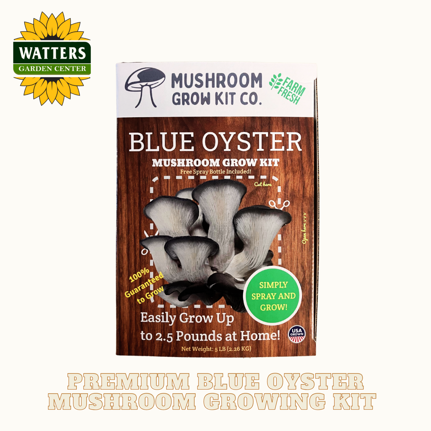 Mushroom grow kit packaging with blue oyster mushrooms on a white background