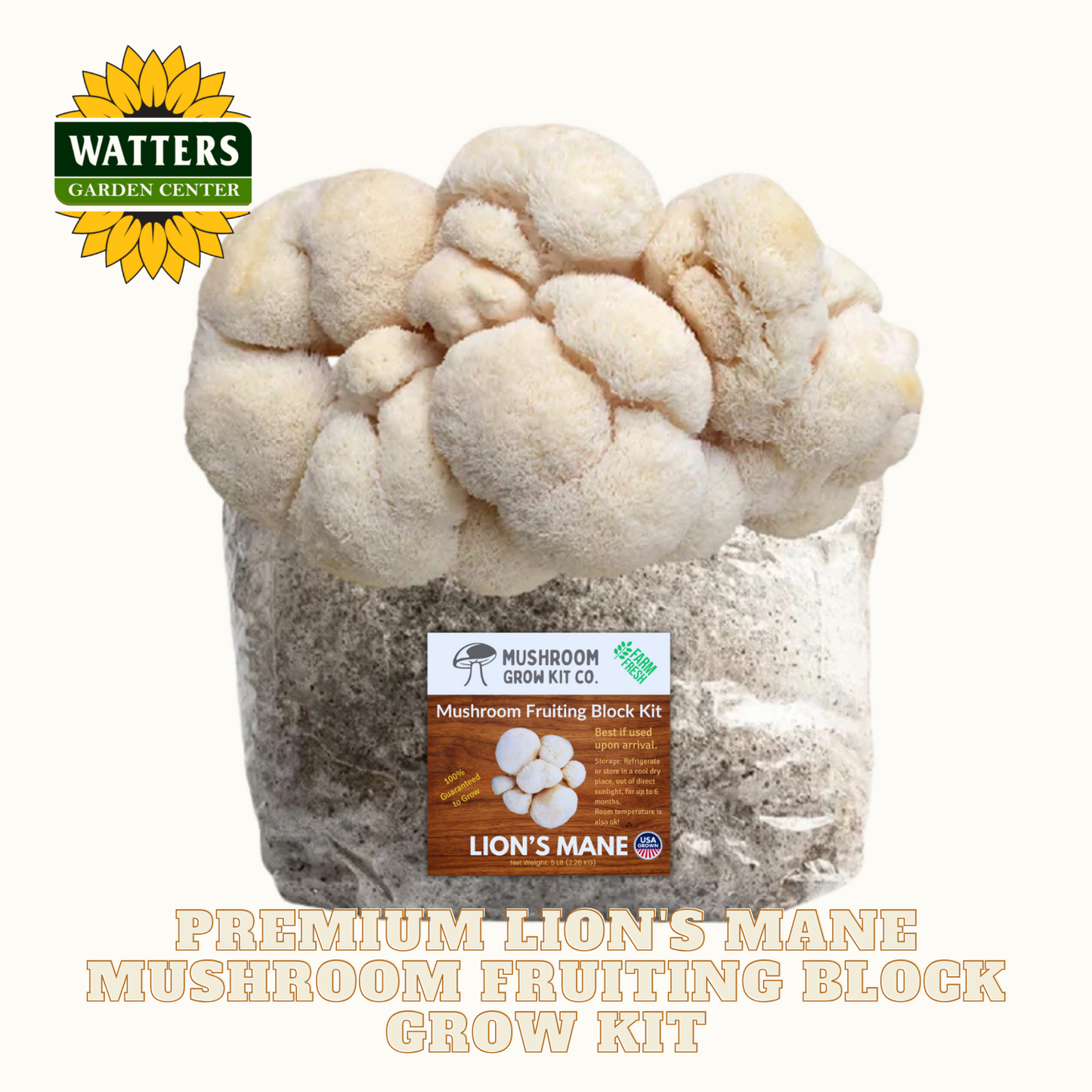 Mushroom fruiting block grow kit with Watters Garden Center logo on a white background