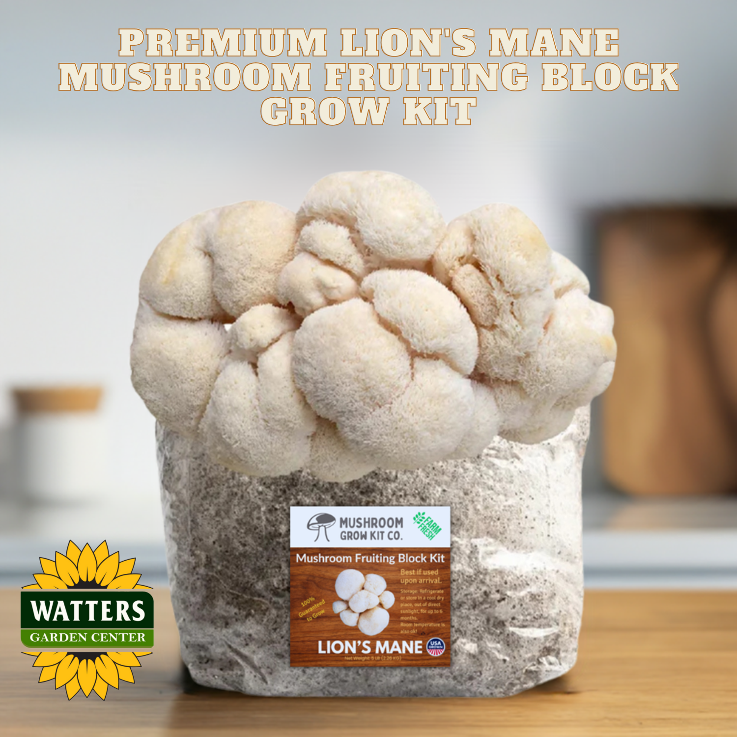 Mushroom fruiting block grow kit with Watters Garden Center branding on a wooden surface.
