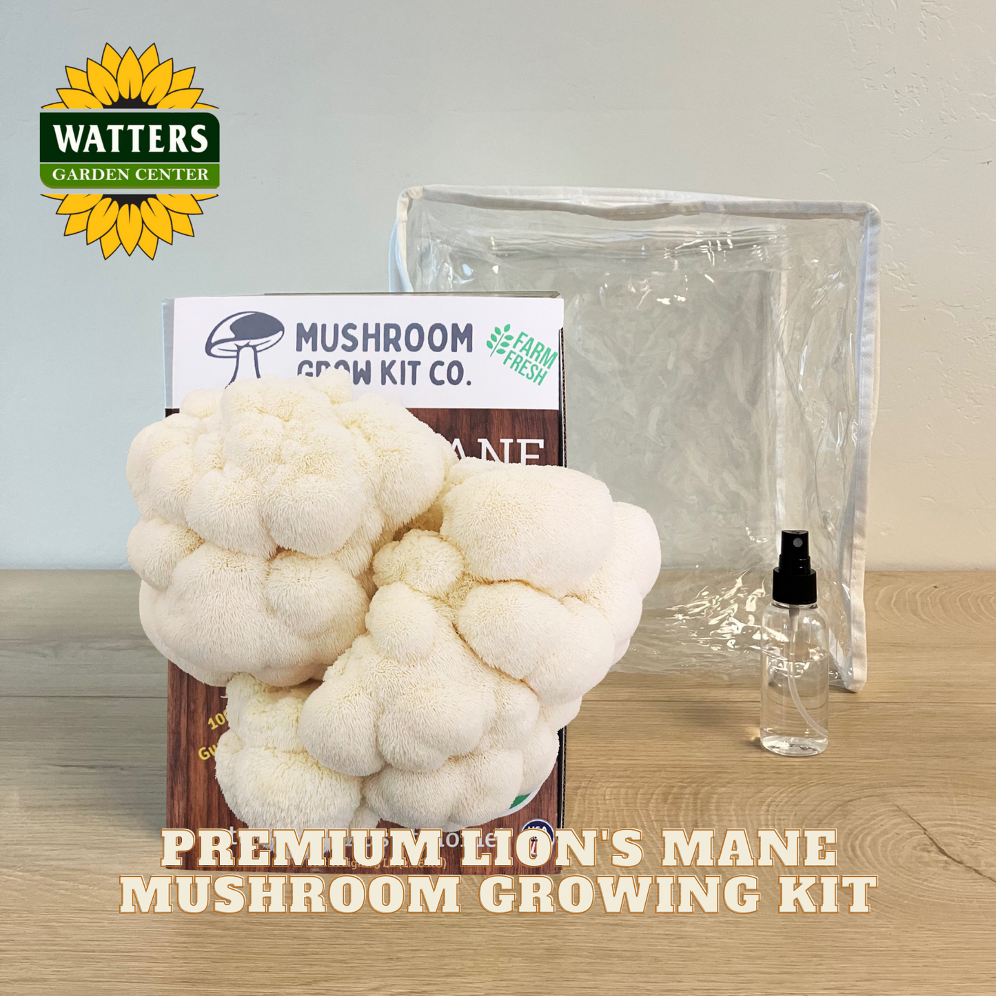Mushroom growing kit with cauliflower-like mushrooms on a wooden surface, featuring Watters Garden Center branding.