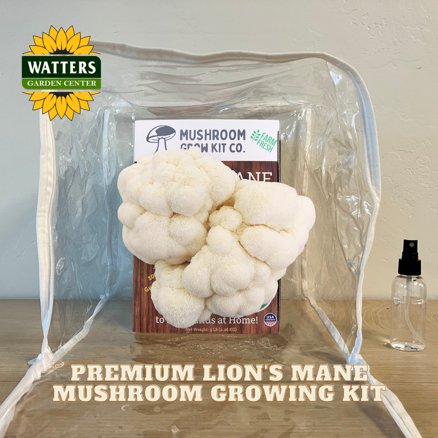 Mushroom growing kit with Watters Garden Center branding on a clear plastic stand.