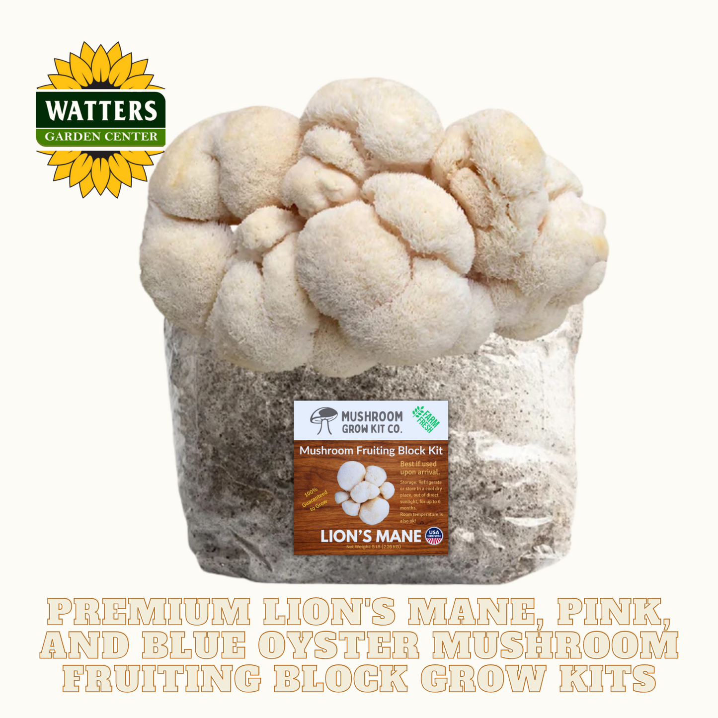 Lion's Mane Mushroom Fruiting Block Kit with Watters Logo.