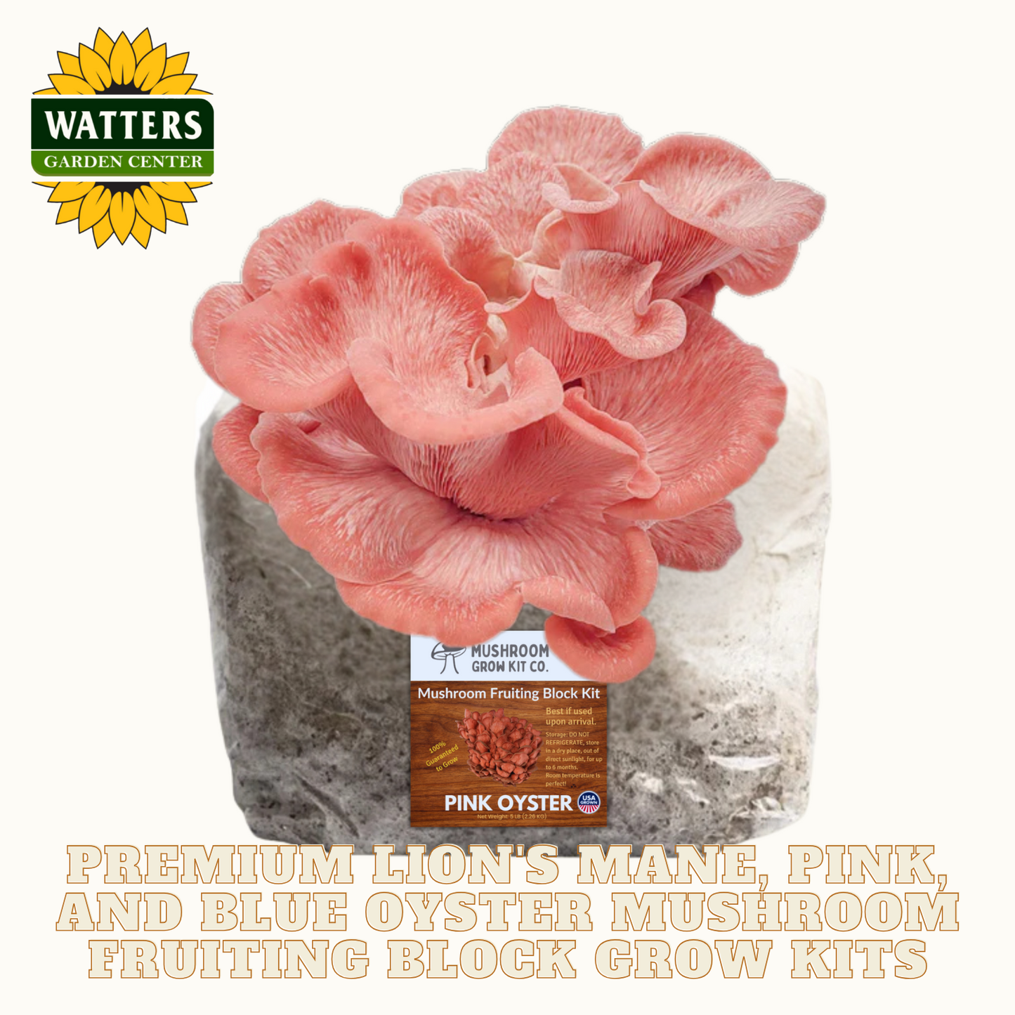 Pink oyster mushroom fruiting block with Watters Garden Center logo on a white background
