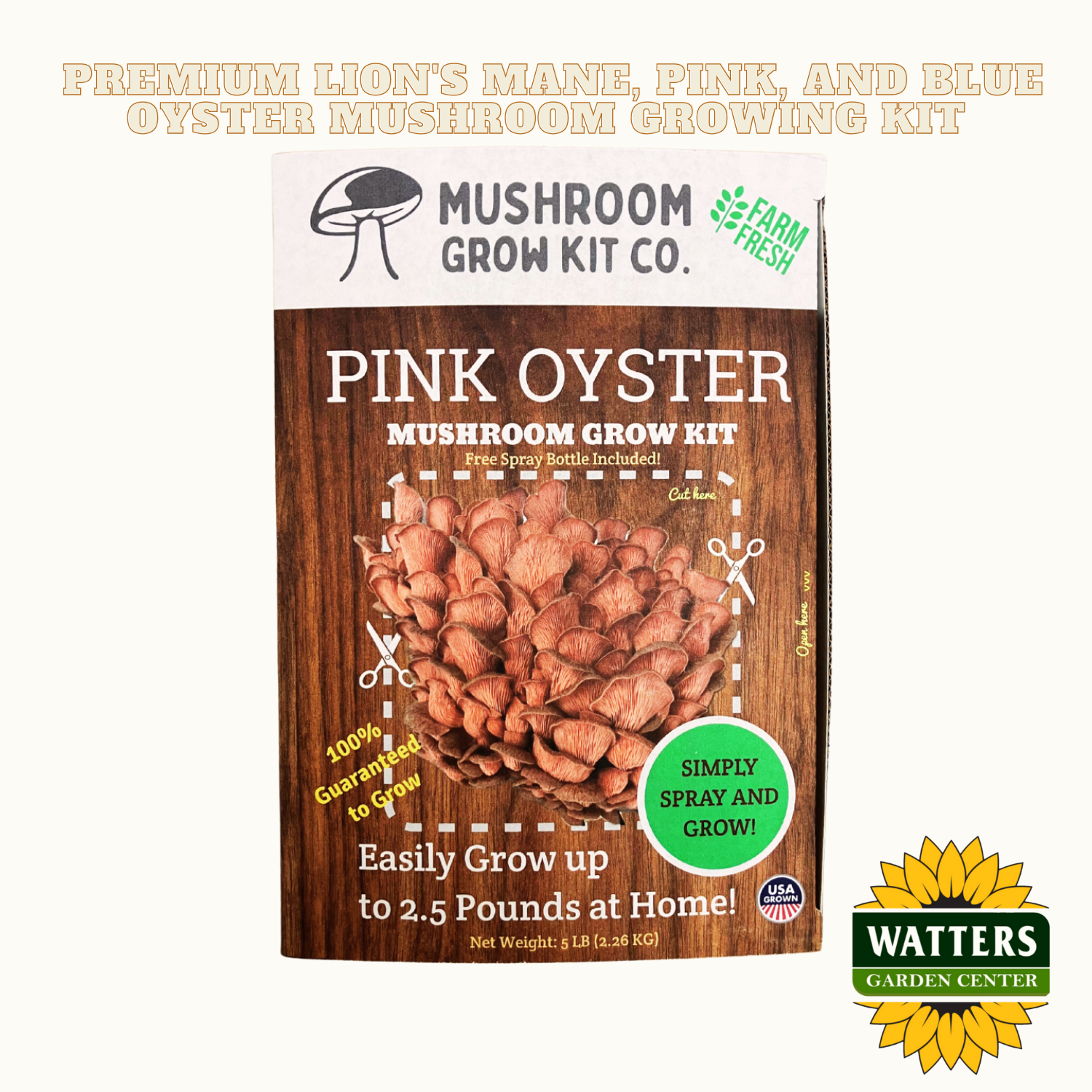 Pink oyster mushroom grow kit packaging with branding and product details.