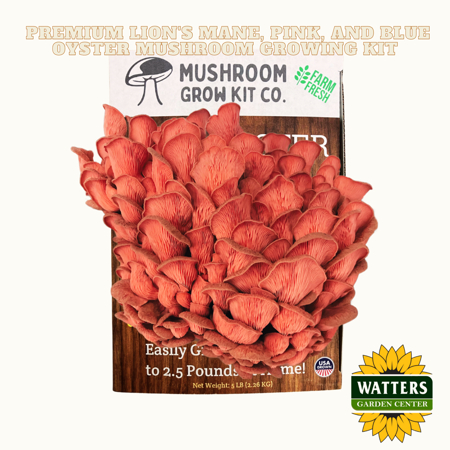 Mushroom grow kit with red mushrooms on a wooden board, featuring Mushroom Grow Kit Co. and Watters Garden Center logos.