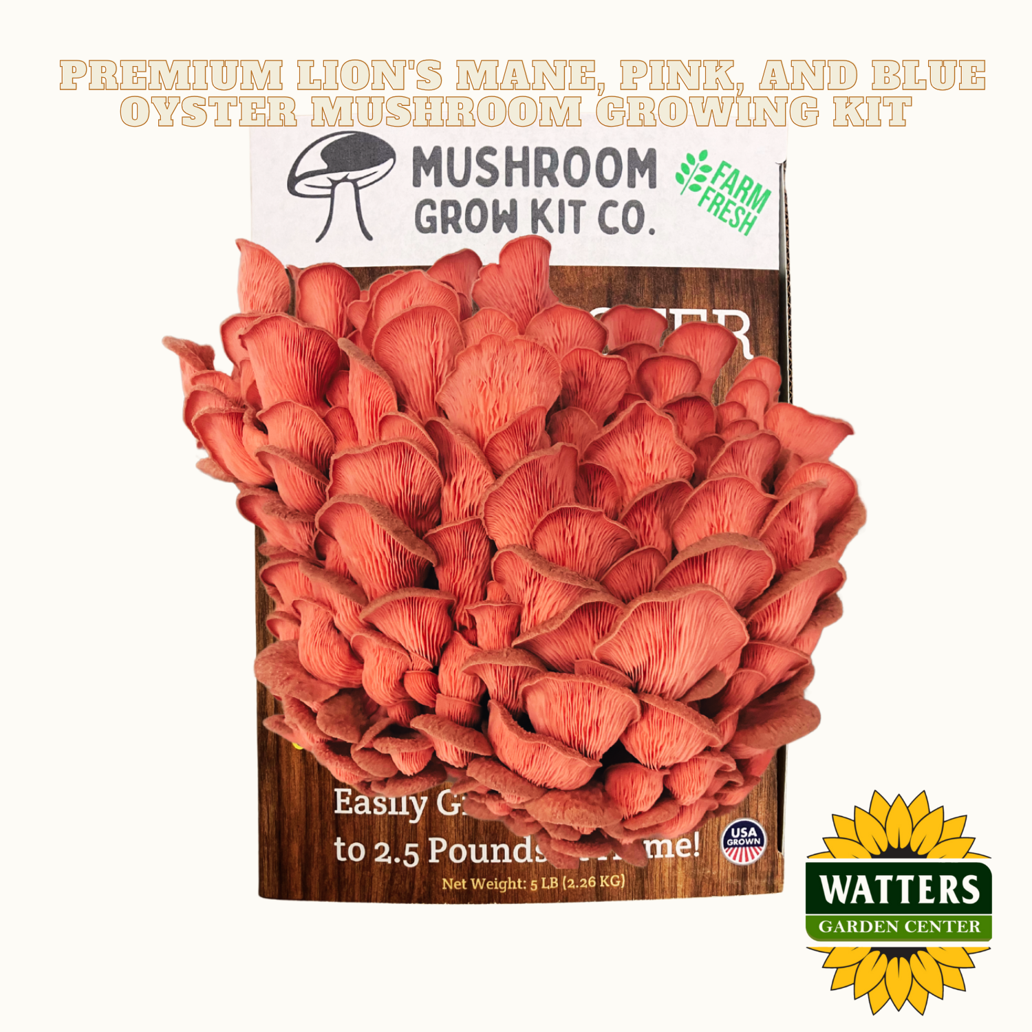 Mushroom grow kit with red mushrooms on a wooden board, featuring Mushroom Grow Kit Co. and Watters Garden Center logos.
