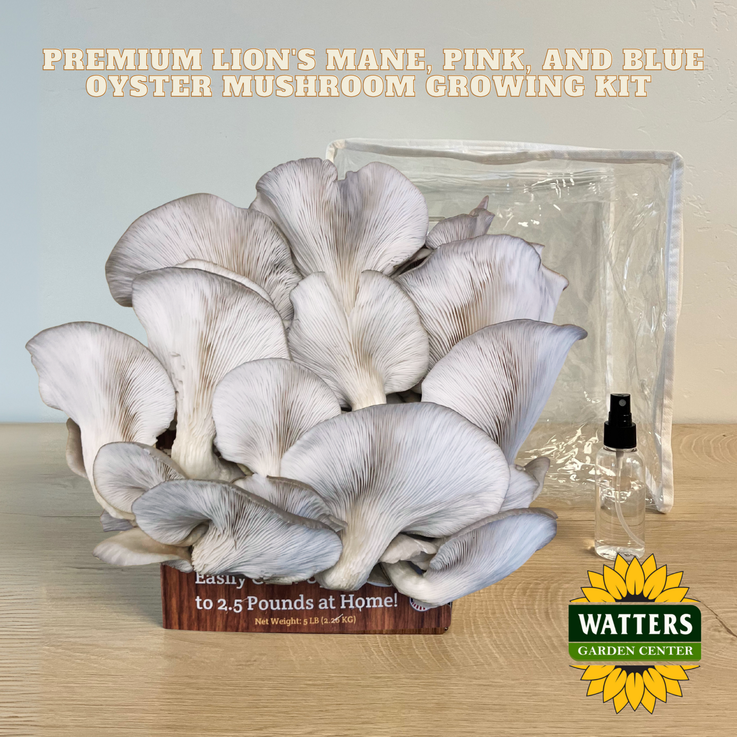 Mushroom growing kit with mushrooms displayed and Watters Garden Center logo.