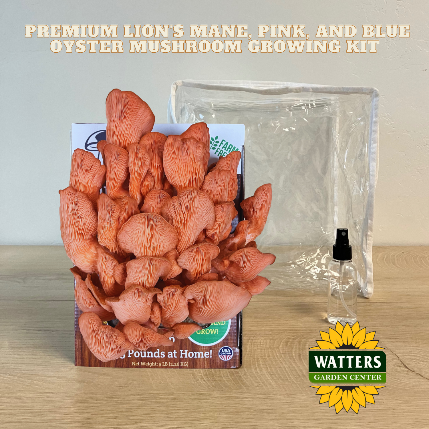 Mushroom growing kit with packaging and Watters Garden Center branding on a wooden surface.