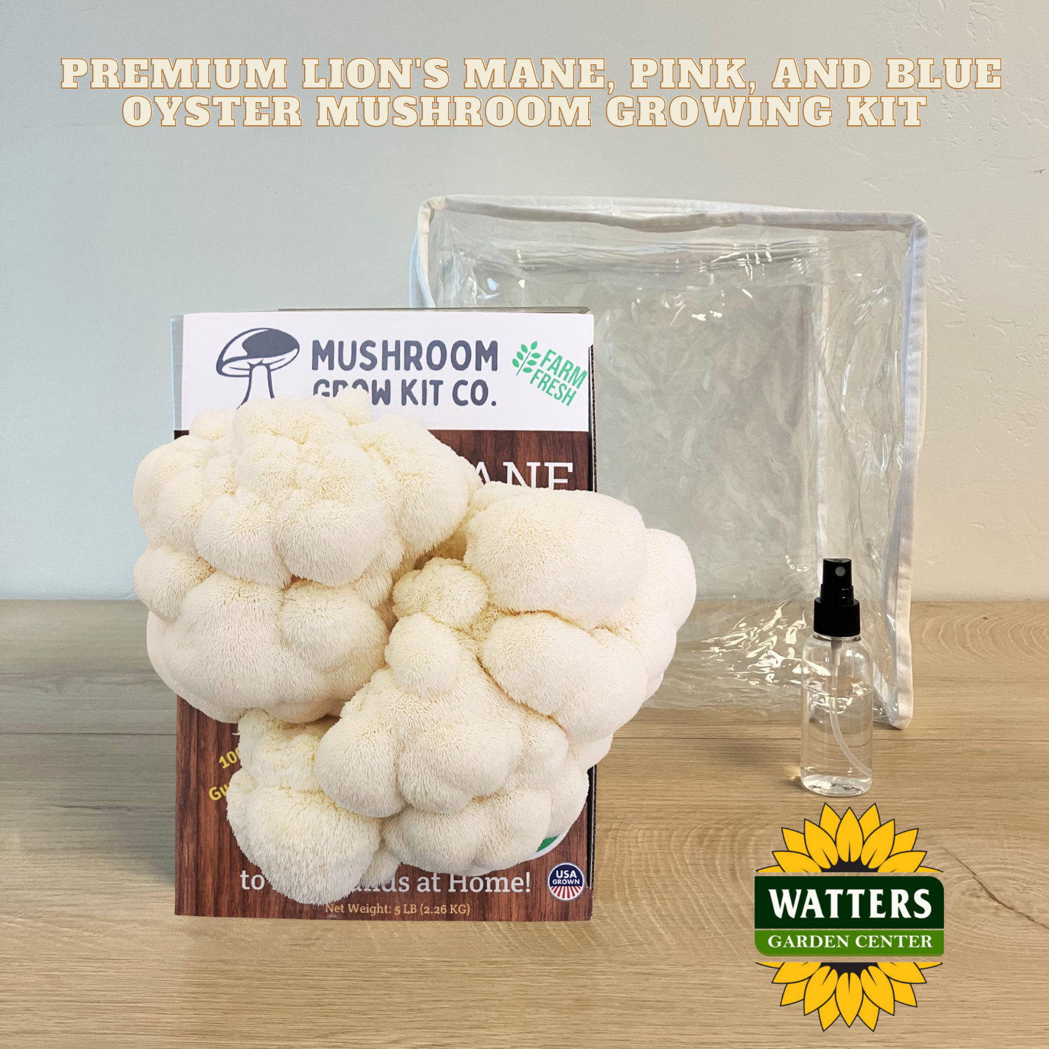 Mushroom growing kit with cauliflower-like mushrooms on a wooden surface, featuring Watters Garden Center branding.