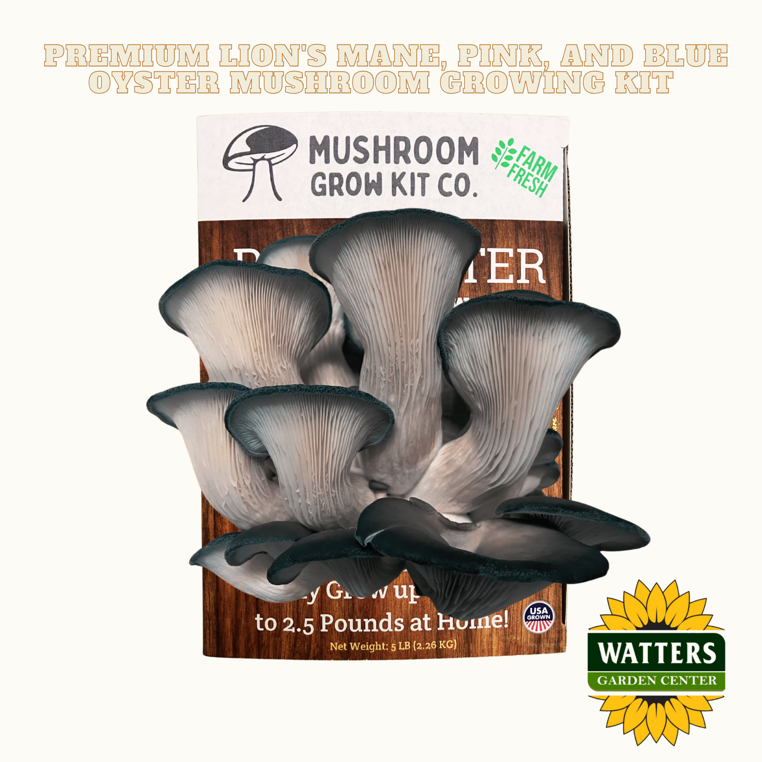 Mushroom grow kit with Watters Garden Center branding on a white background