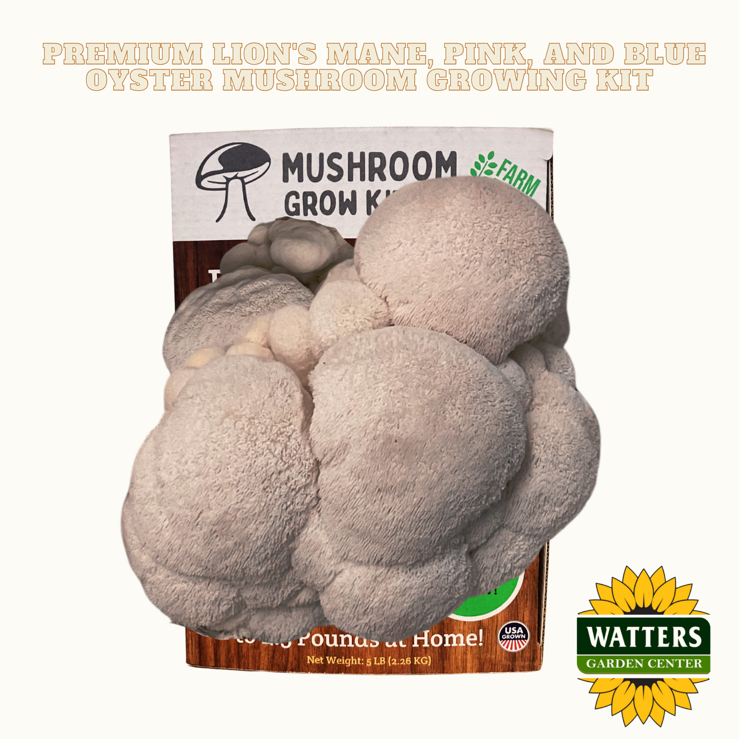 Mushroom growing kit packaging with text and logos on a white background