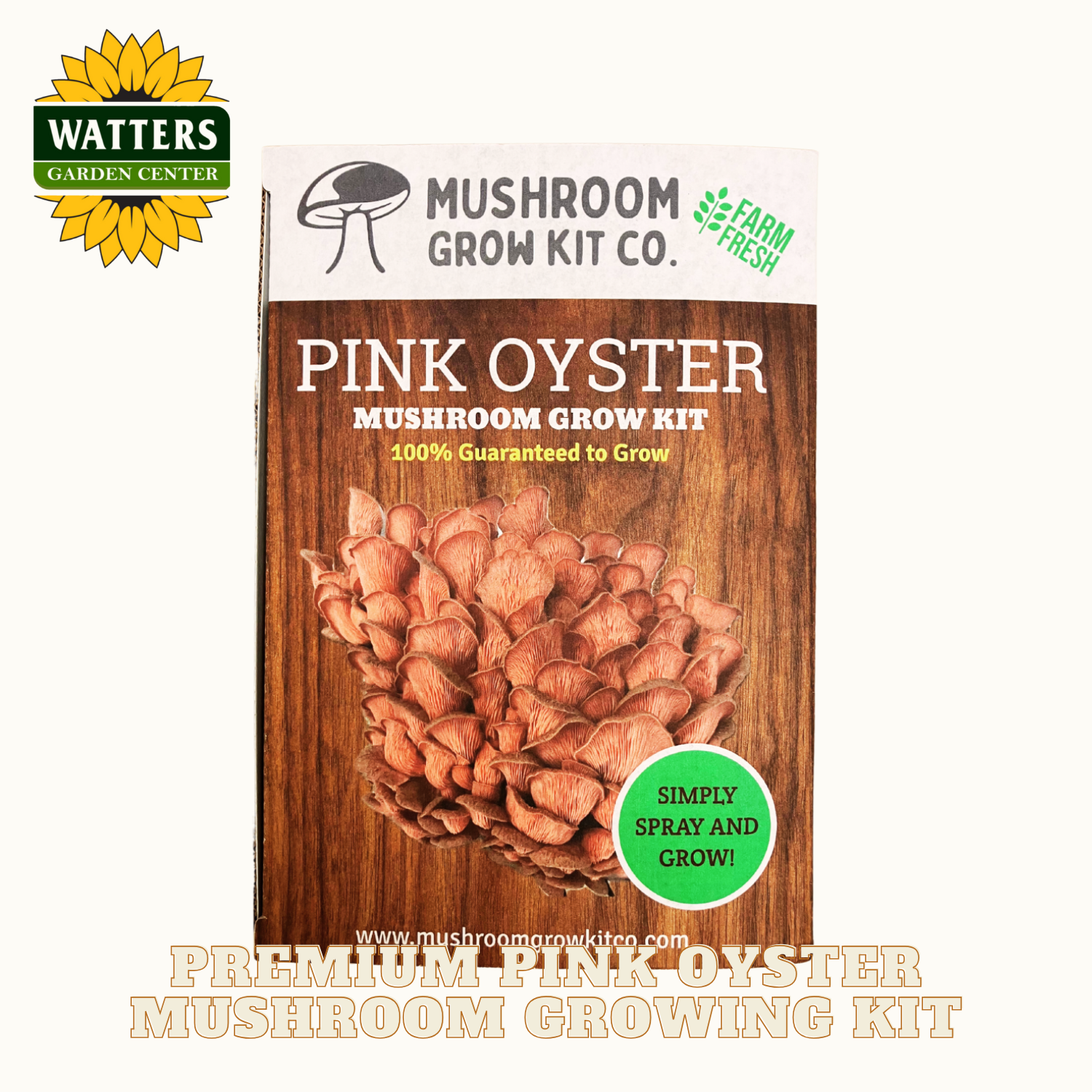 Pink Oyster mushroom grow kit packaging with Watters Garden Center logo.