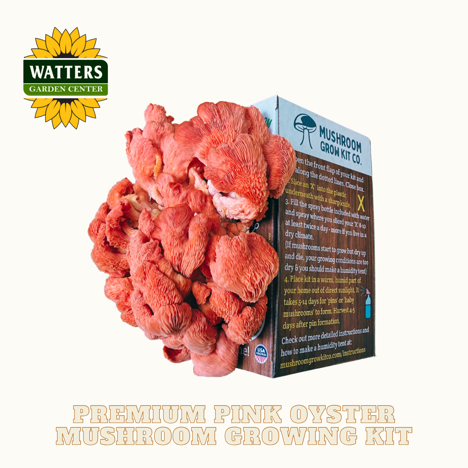 Pink oyster mushroom growing kit with packaging on a white background, featuring Watters Garden Center branding.