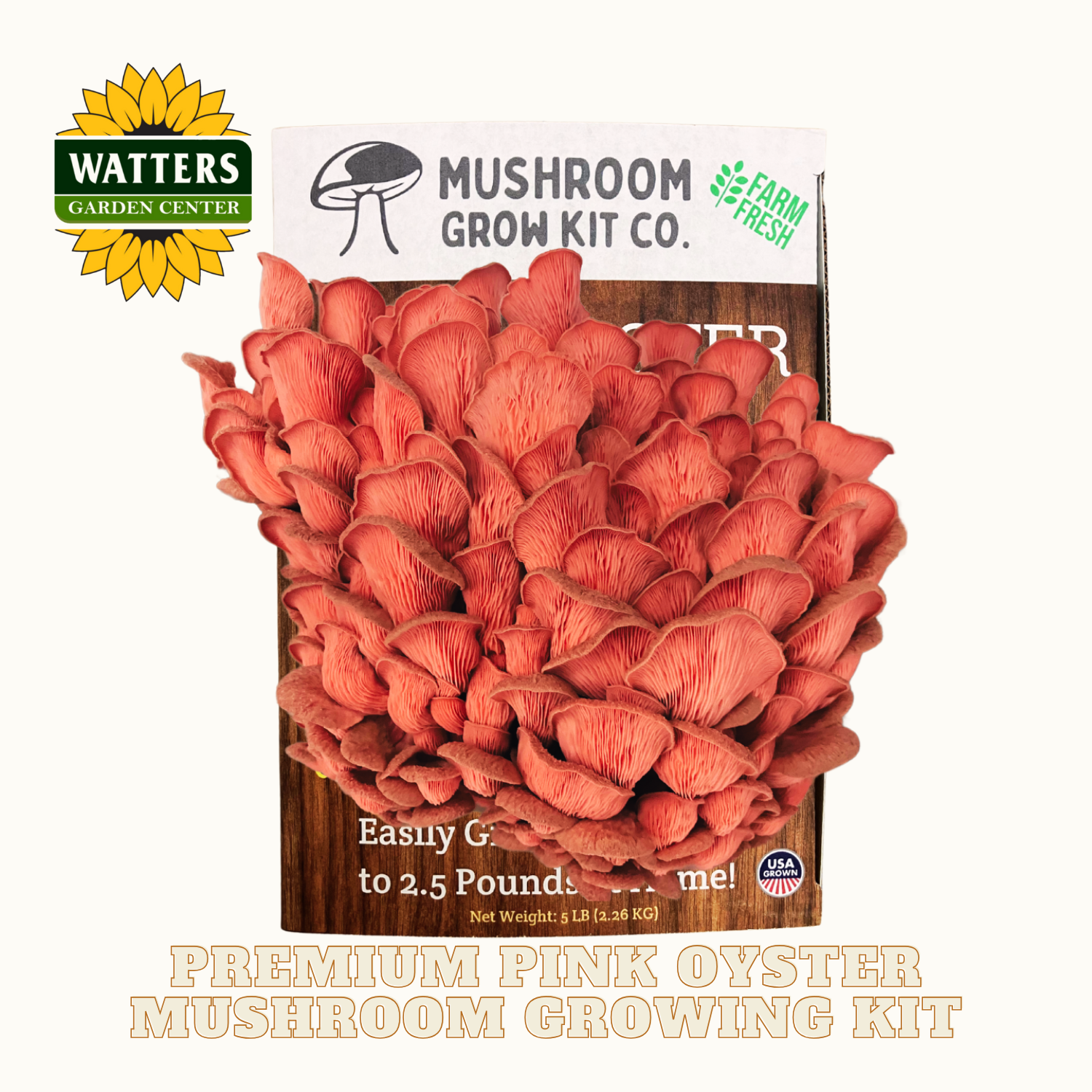 Pink oyster mushroom grow kit with Watters Garden Center branding on a white background