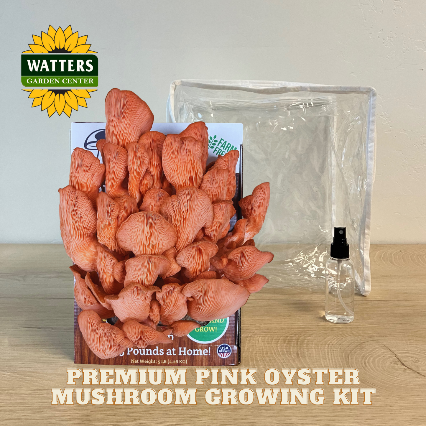 Pink oyster mushroom growing kit with packaging and Watters Garden Center logo.