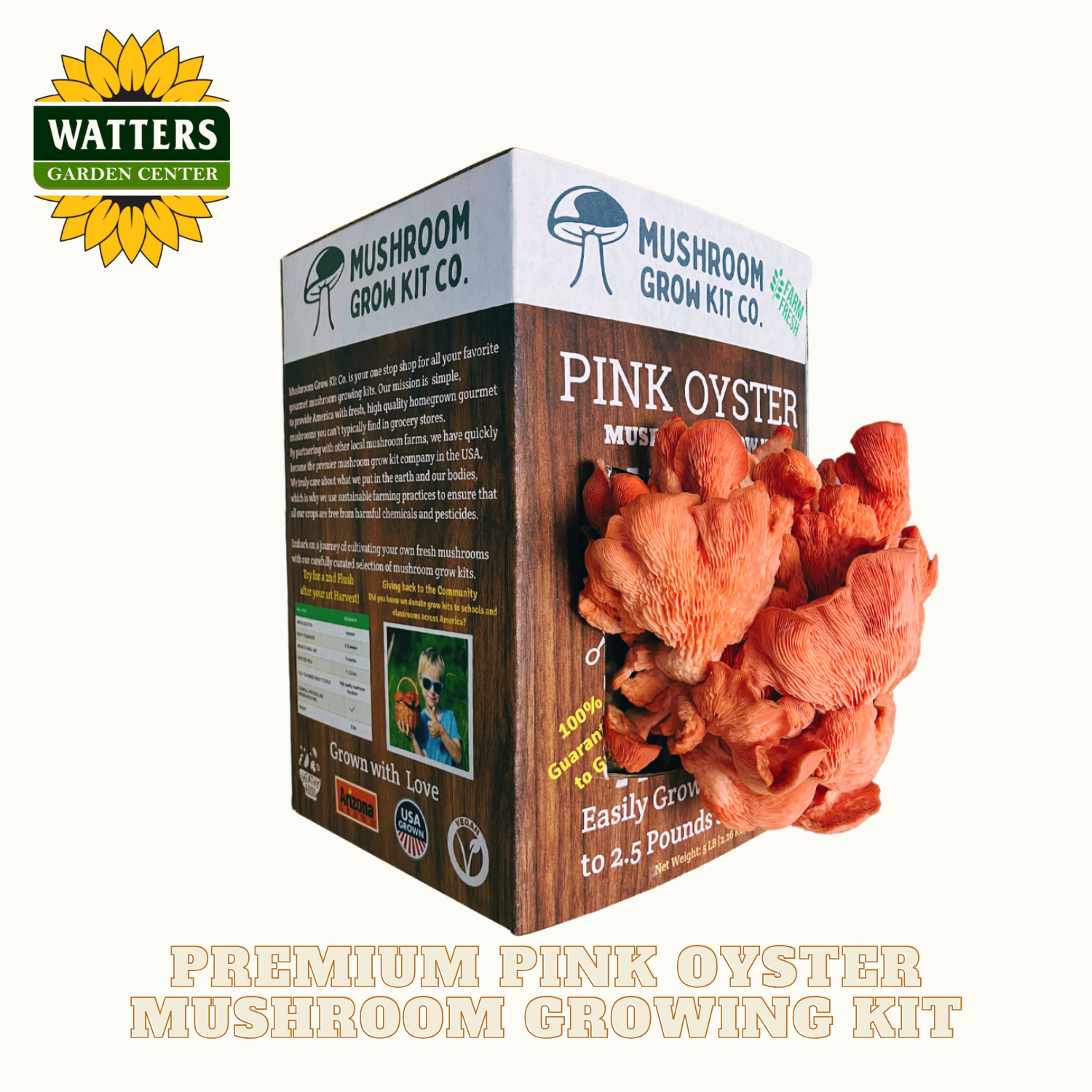 Mushroom grow kit box with pink oyster mushrooms on a white background
