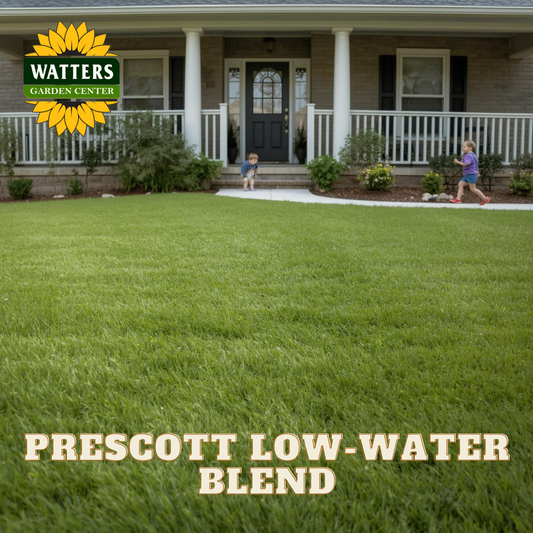 Front yard with green grass, children playing, and Watters Garden Center logo.