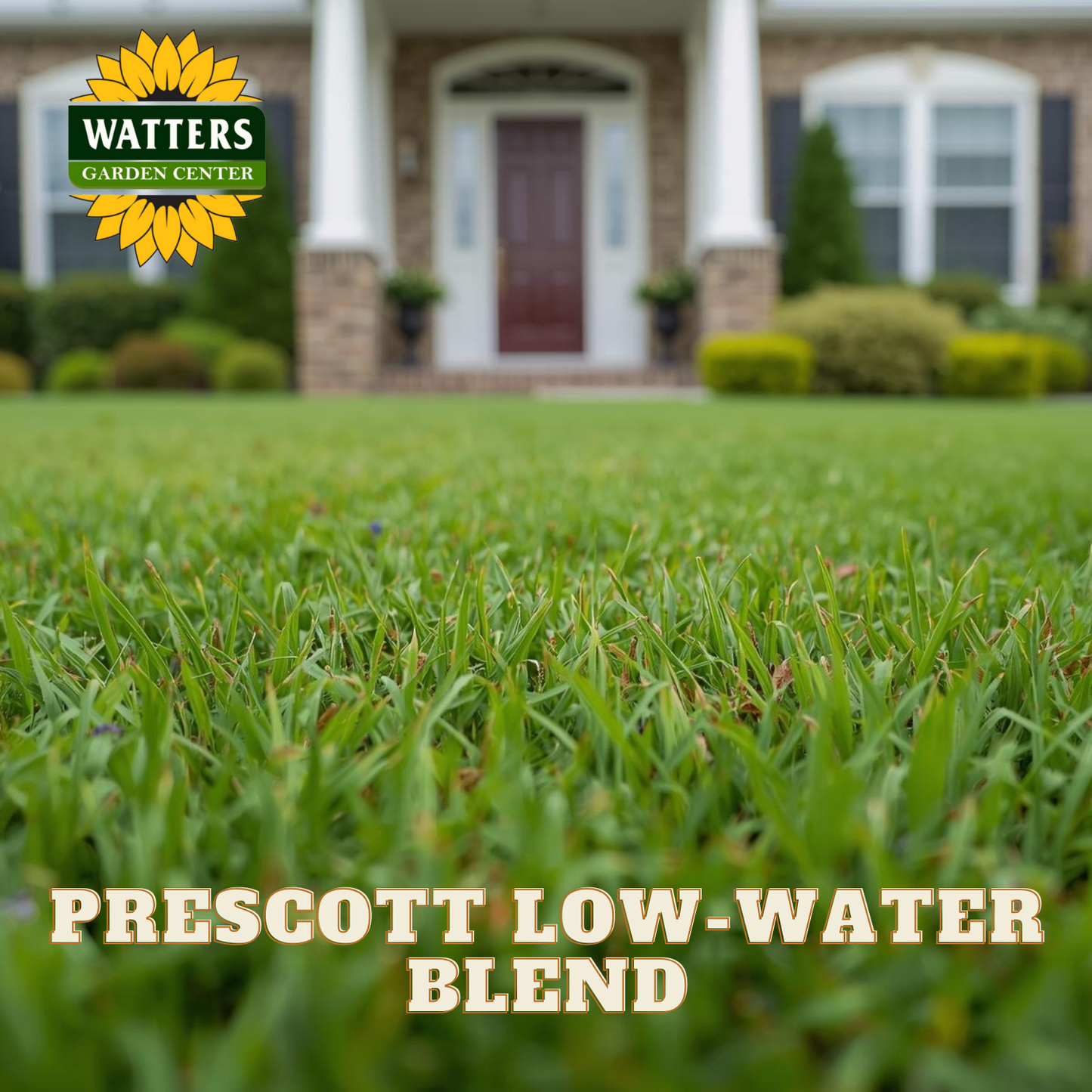 Green lawn with Watters Garden Center logo and 'Prescott Low-Water Blend' text in front of a house.