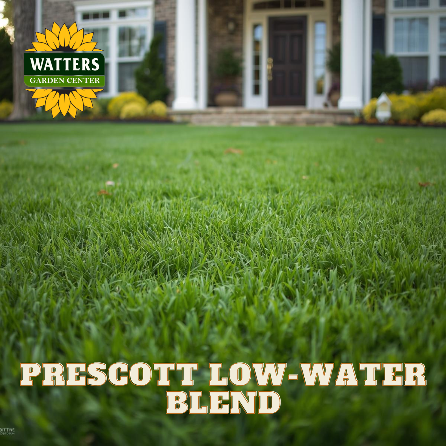 Lush green lawn with Watters Garden Center logo and 'Prescott Low-Water Blend' text.