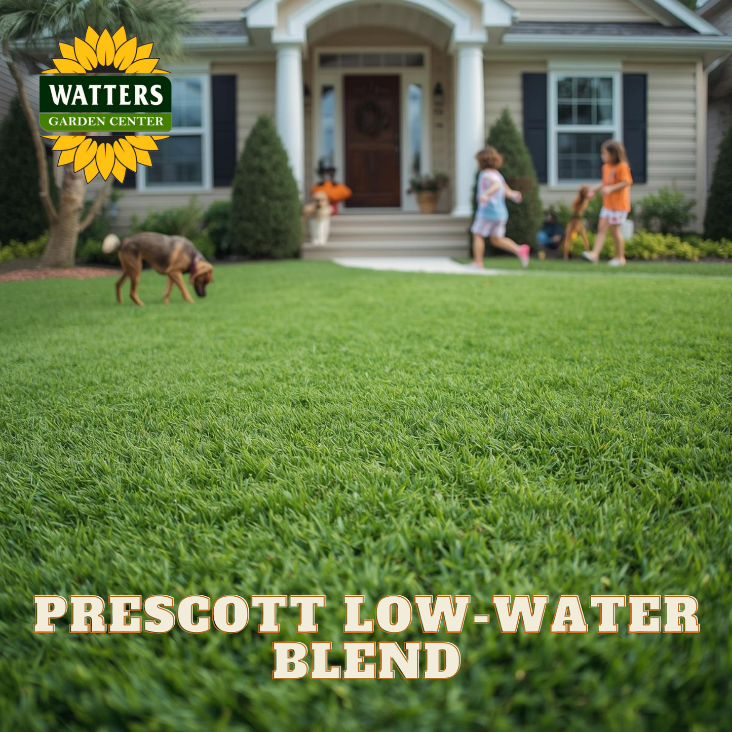 Lush green lawn with 'Watters Garden Center' logo and 'Prescott Low-Water Blend' text in front of a house.