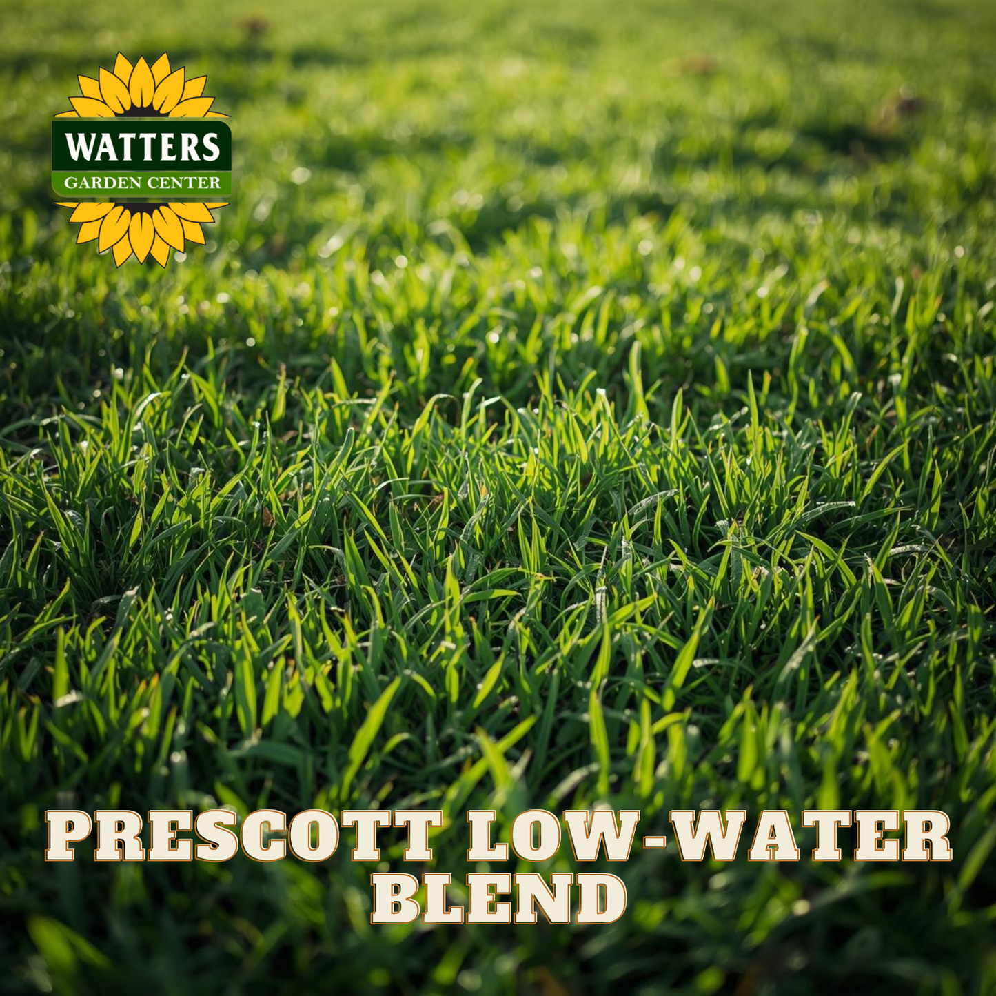 Grass with Watters Garden Center logo and 'Prescott Low-Water Blend' text