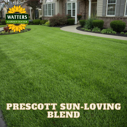 Lush green lawn with 'Watters Garden Center' logo and 'Prescott Sun-Loving Blend' text.