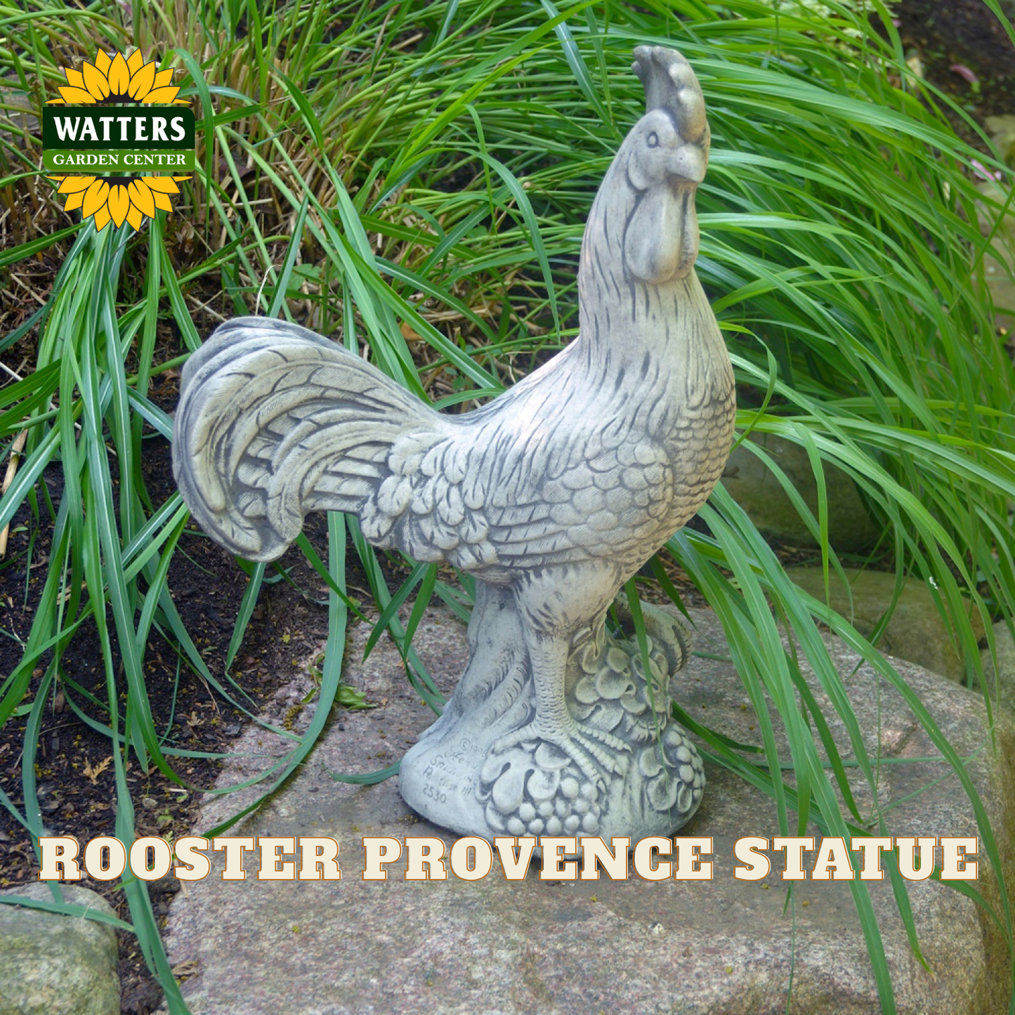 A rooster garden statue in a textured stone-like gray finish, displayed outdoors on a rock among green ornamental grass. A Watters Gardens Center logo is visible in the top-left corner, and the text 'ROOSTER PROVENCE STATUE' appears along the bottom.