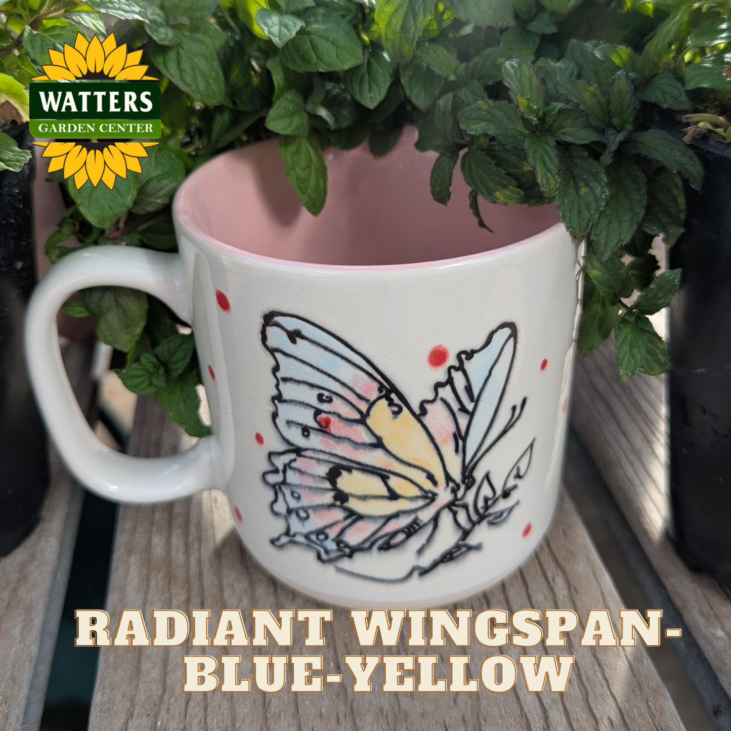 White mug with butterfly design on a wooden surface with plants in the background, featuring Watters Garden Center logo.
