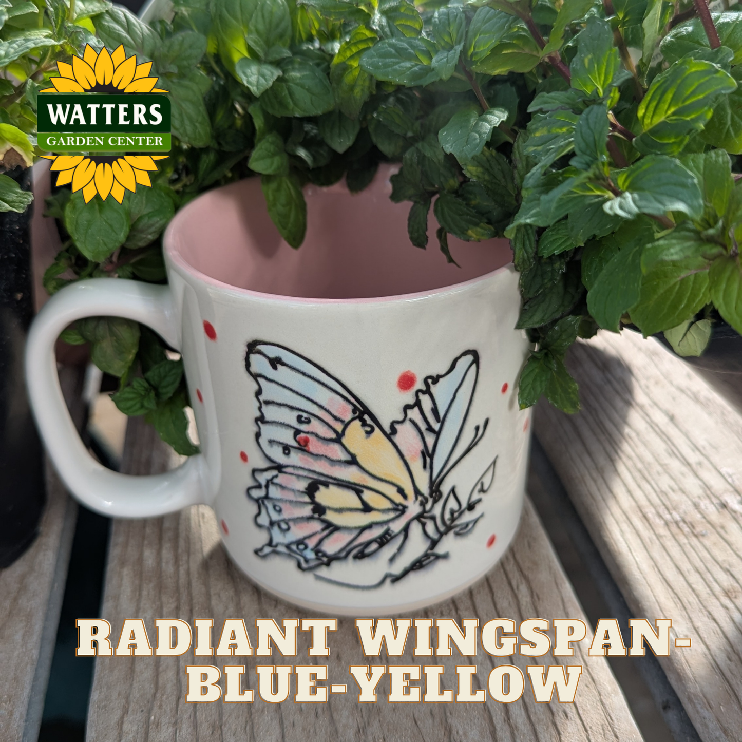 White mug with butterfly design filled with green plants, branded 'Watters Garden Center'.