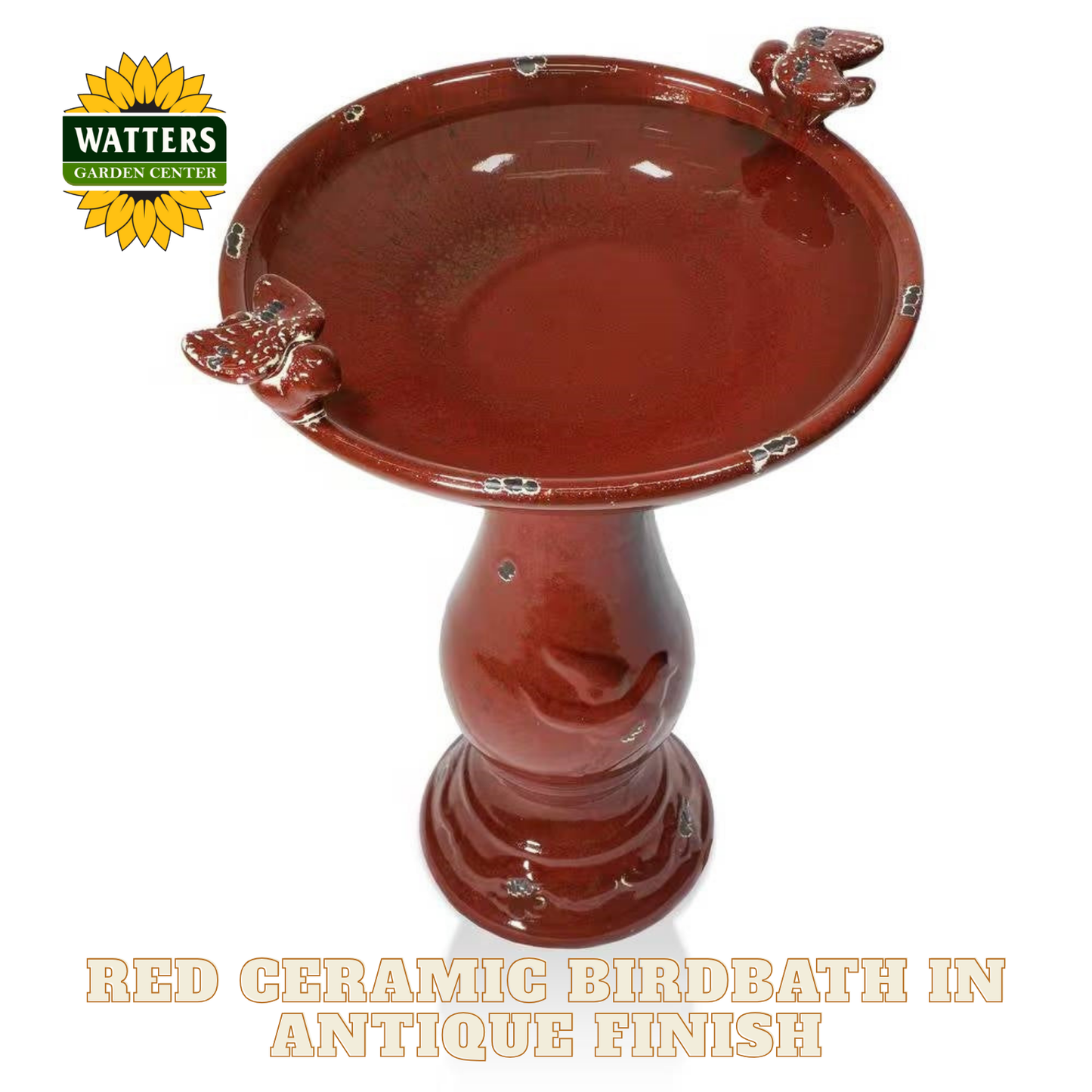 Red ceramic birdbath with antique finish on a white background, featuring Watters Garden Center logo.