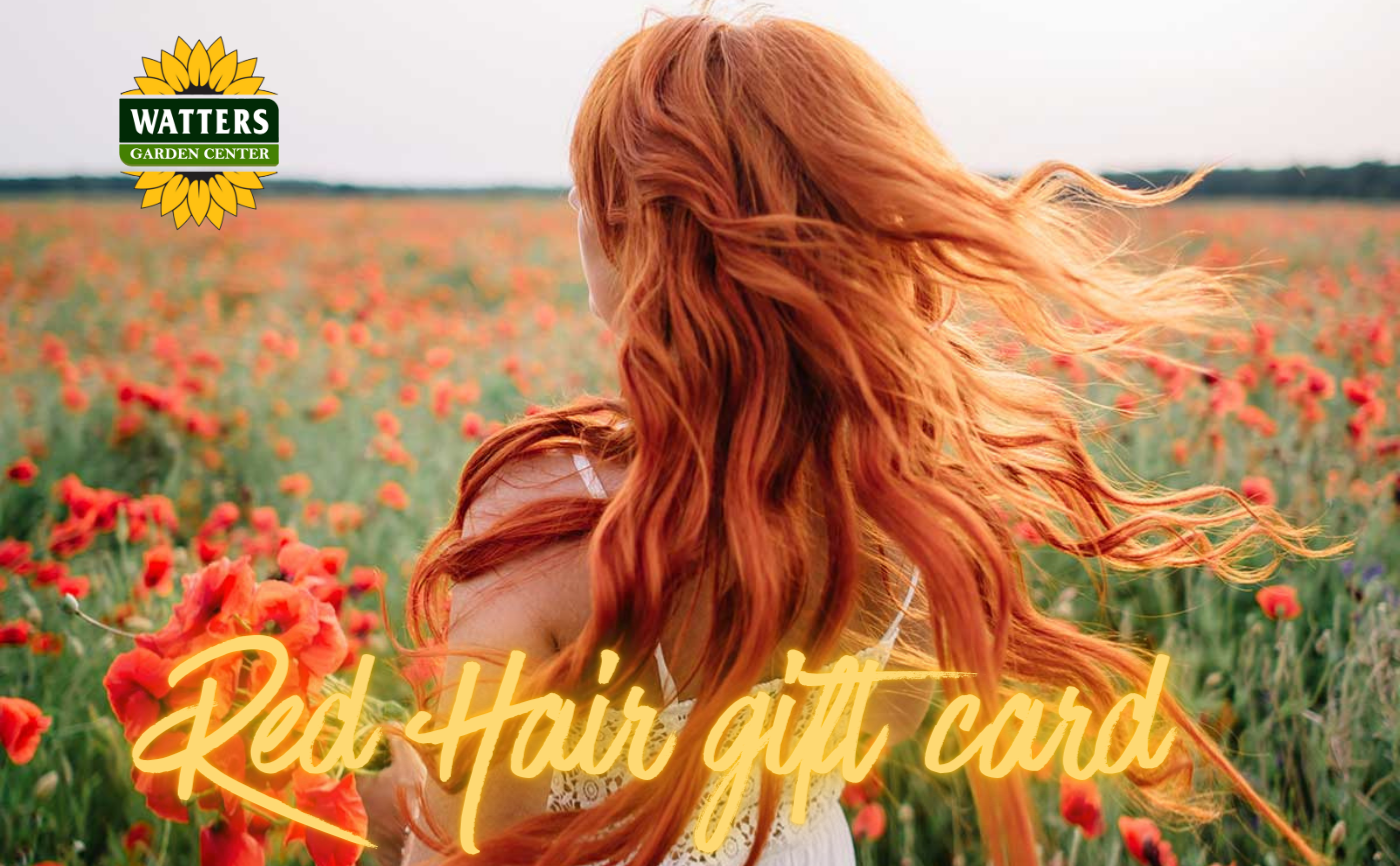 Watters Garden Center Gift Card