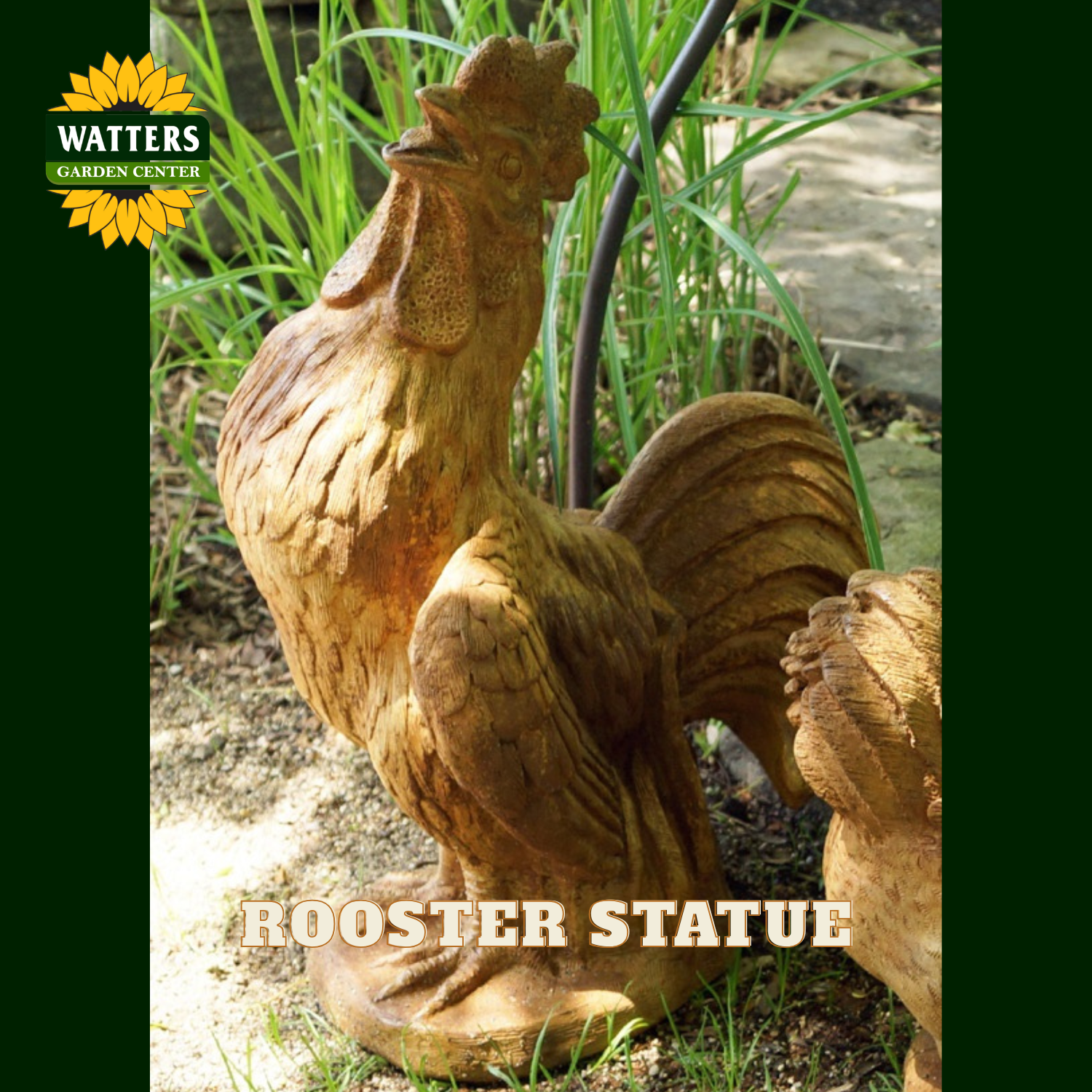 A carved wooden rooster garden statue in a natural brown wood tone, shown outdoors on soil with green grass in the background. The Watters Garden Center logo is visible in the top-left corner, and 'ROOSTER STATUE' is written at the bottom.