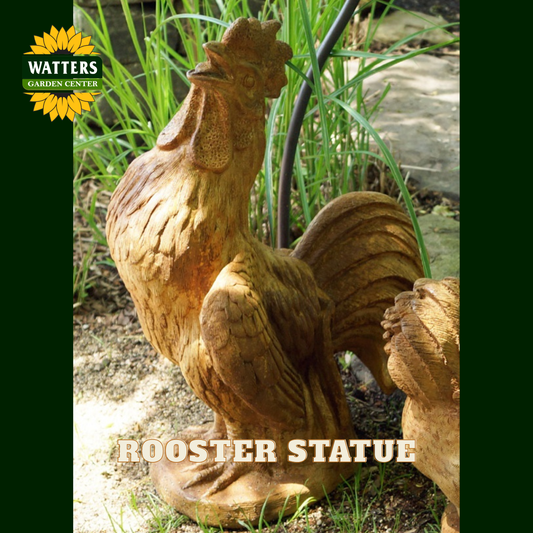 A carved wooden rooster garden statue in a natural brown wood tone, shown outdoors on soil with green grass in the background. The Watters Garden Center logo is visible in the top-left corner, and 'ROOSTER STATUE' is written at the bottom.