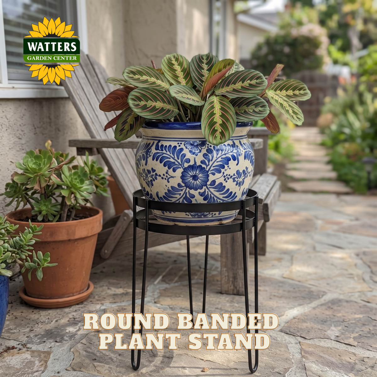 A round black metal banded plant stand holding a blue and white patterned ceramic pot with a variegated green plant, set on a stone patio in a garden. The Watters Gardens Centre logo is visible in the top left, and text at the bottom reads 'ROUND Banded Plant Stand'.
