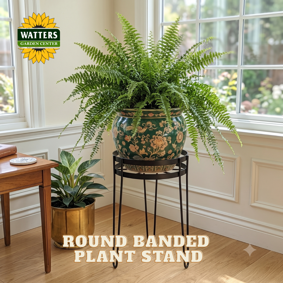 A round black metal plant stand holding a large green fern in a decorative green and gold ceramic pot, placed in a sunlit room with wood floors and windows. The Watters Gardens Center logo appears in the top left, and the text 'ROUND BANDED PLANT STAND' is overlaid at the bottom.