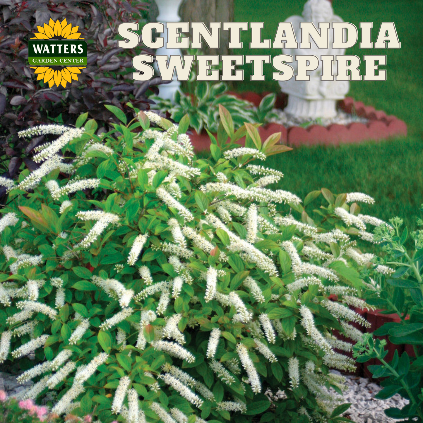 SCENTLANDIA SWEETSPIRE 2gal