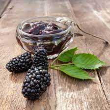 COLUMBIA GIANT THORNLESS BLACKBERRY 1gal